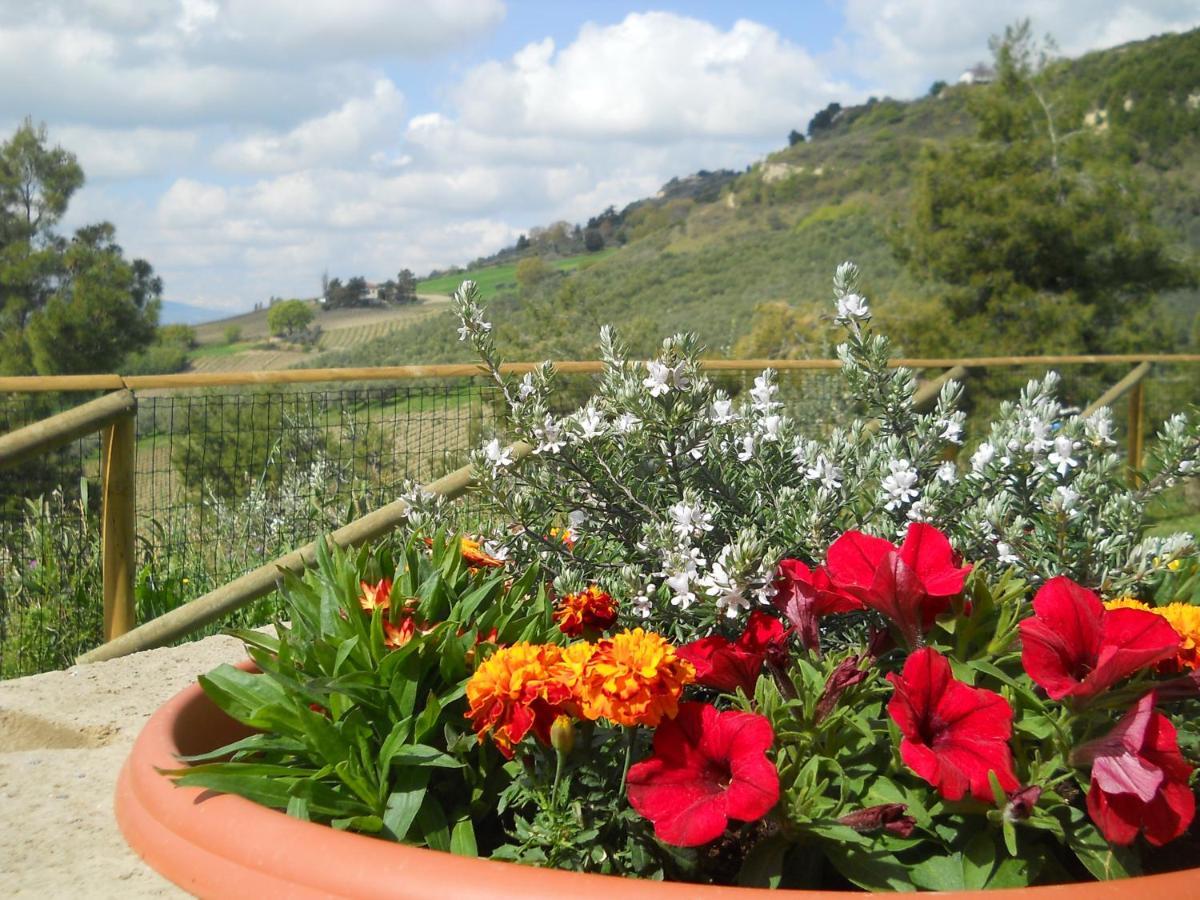 ריפטרנסונה B&B Silent Valley מראה חיצוני תמונה